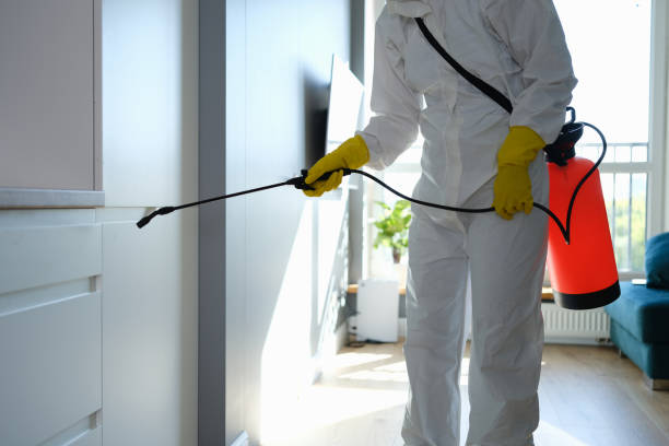 Best Certified Mold Removal  in Windham, OH