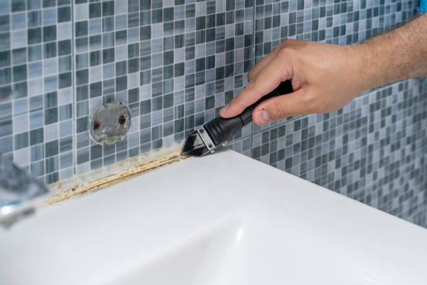 Best Office Mold Removal Services  in Windham, OH
